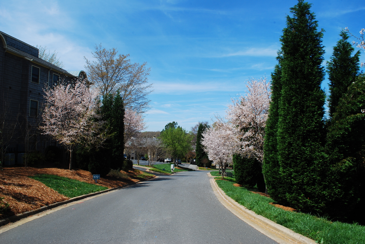 2009 - spring time At Emerald Point